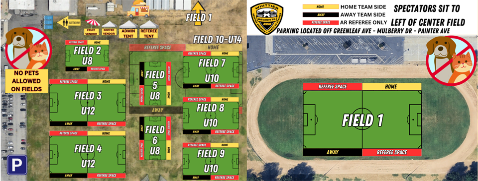Field Layout