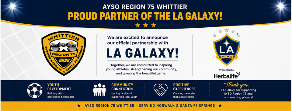 LA Galaxy Partnership
