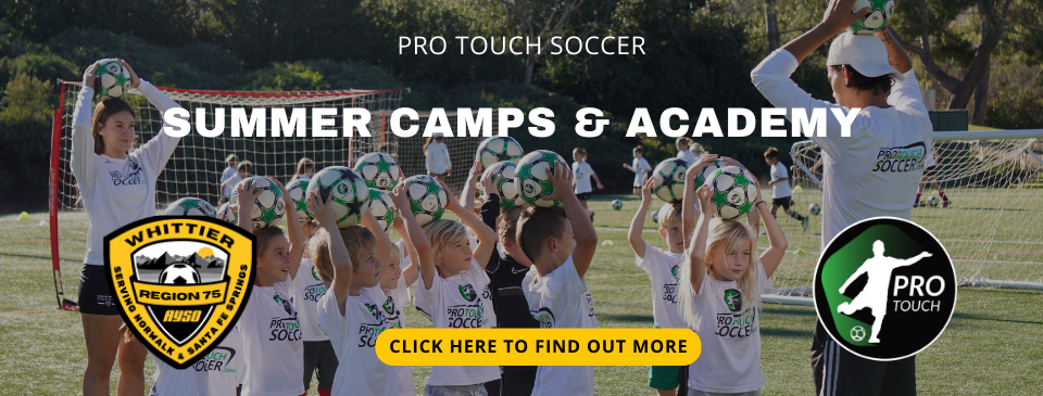 Pro Touch Summer Camps & Academy (Click Banner)